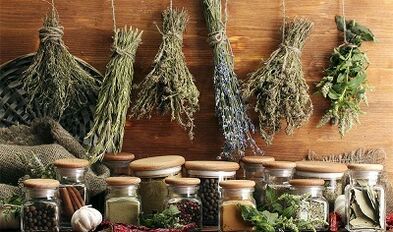 Herbs to remove pests from the body