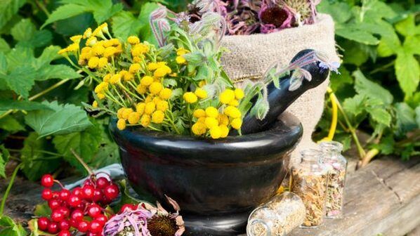 deworming herbs